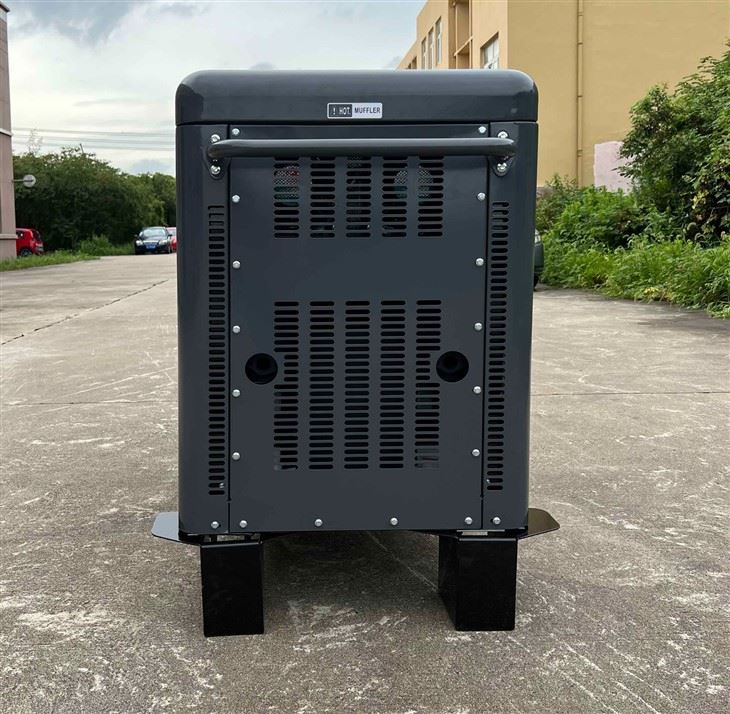 12kw Portable Generator Dual Fuel